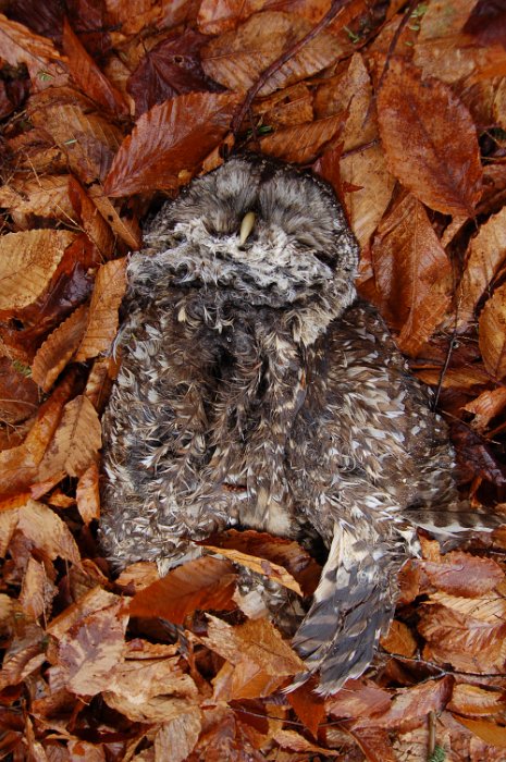 Besichtigung April 2015 (7)